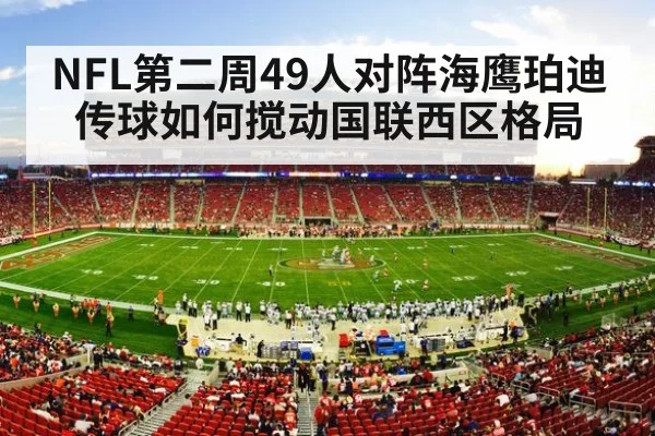 american football stadium crowd